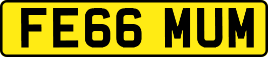 FE66MUM