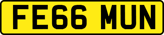 FE66MUN