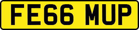 FE66MUP