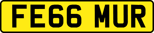 FE66MUR