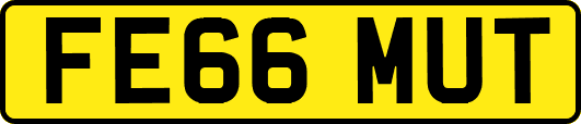 FE66MUT