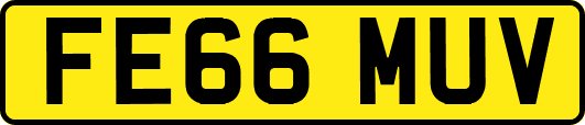 FE66MUV