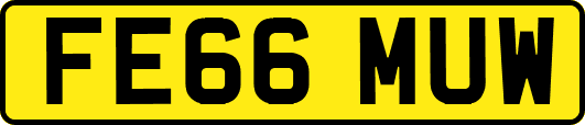 FE66MUW