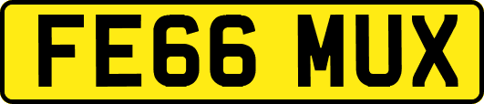 FE66MUX