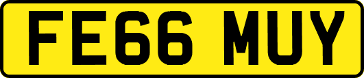 FE66MUY