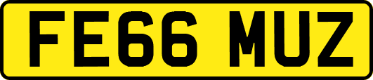 FE66MUZ