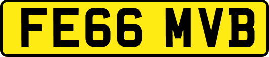 FE66MVB