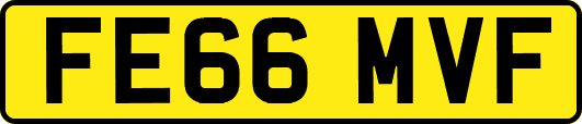 FE66MVF