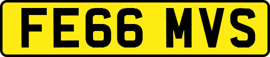 FE66MVS