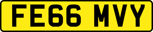 FE66MVY
