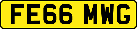 FE66MWG