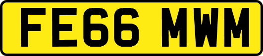 FE66MWM