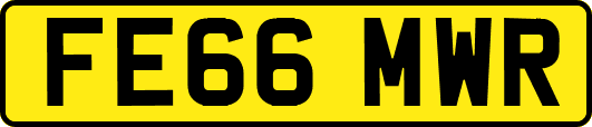 FE66MWR