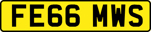 FE66MWS
