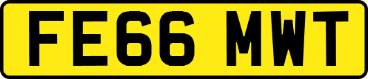 FE66MWT