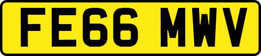 FE66MWV
