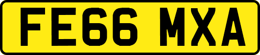FE66MXA