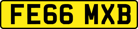 FE66MXB