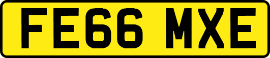 FE66MXE