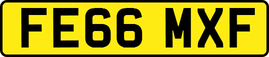 FE66MXF