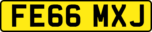 FE66MXJ