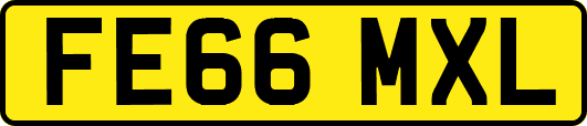 FE66MXL