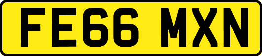 FE66MXN