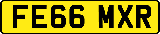 FE66MXR
