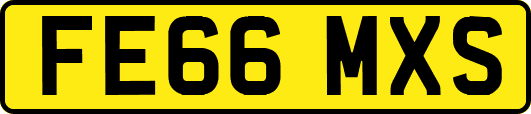 FE66MXS