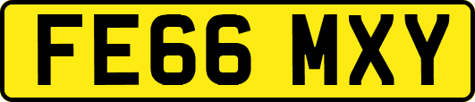 FE66MXY