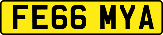 FE66MYA