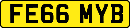 FE66MYB