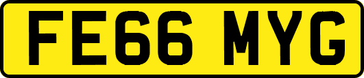 FE66MYG