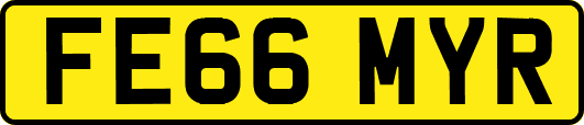 FE66MYR