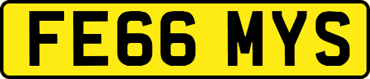 FE66MYS