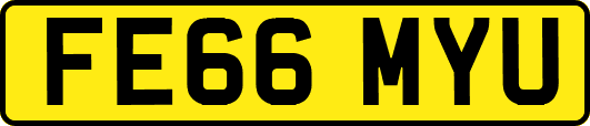 FE66MYU