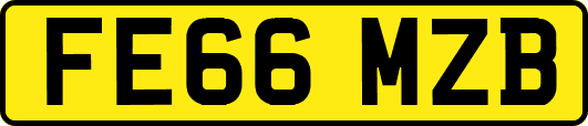 FE66MZB