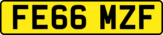 FE66MZF