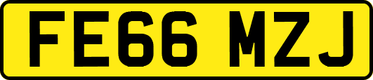 FE66MZJ