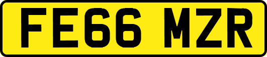 FE66MZR