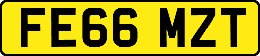 FE66MZT