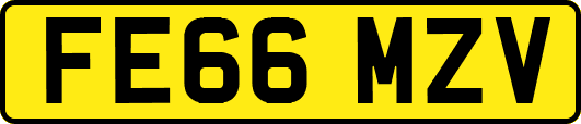 FE66MZV