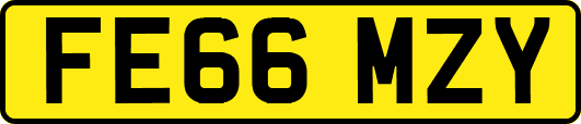 FE66MZY