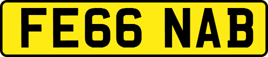 FE66NAB