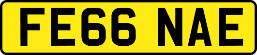 FE66NAE
