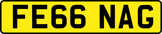 FE66NAG