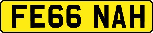 FE66NAH