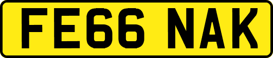 FE66NAK