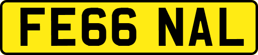 FE66NAL