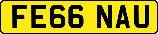 FE66NAU